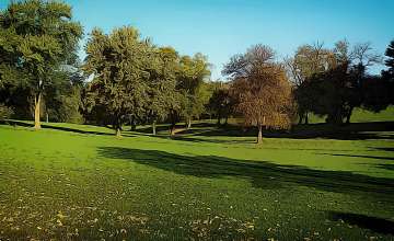 ​Arco’s Nursery Garden