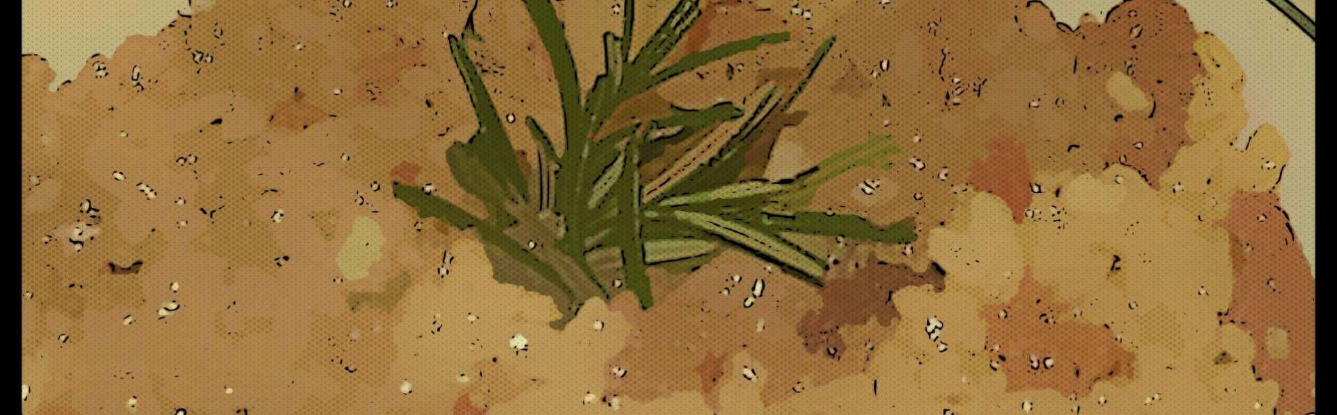 Risotto al Tastasal